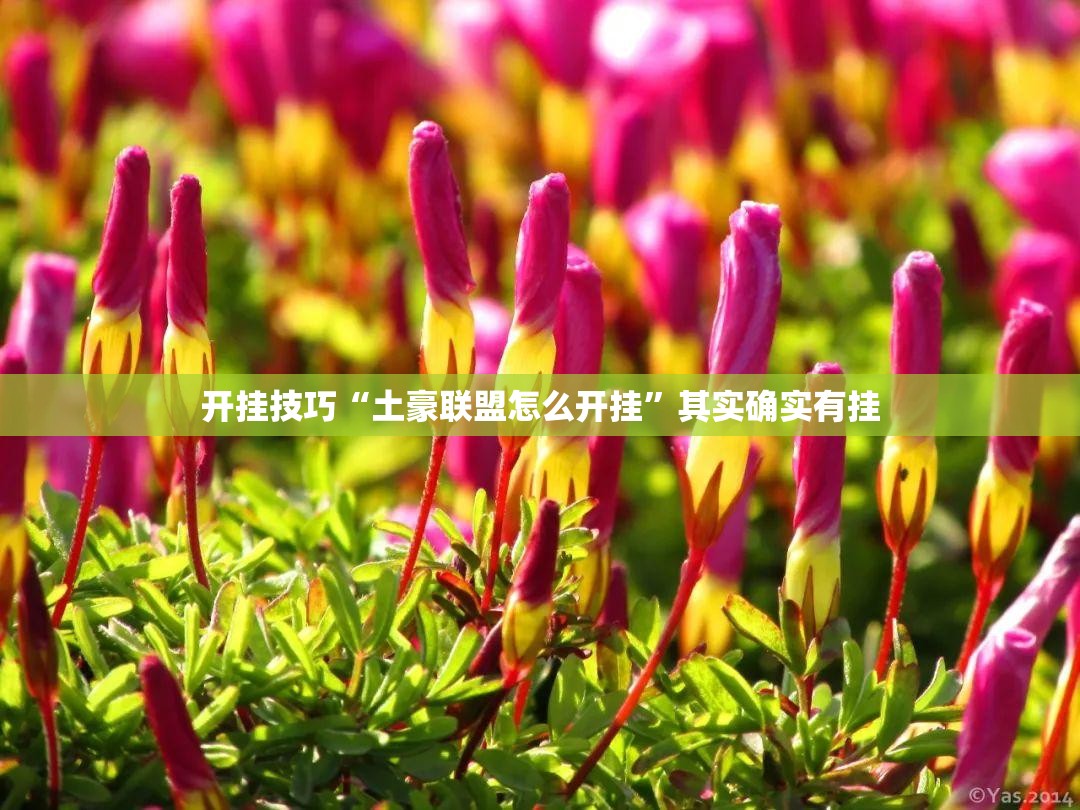 开挂技巧“土豪联盟怎么开挂”其实确实有挂