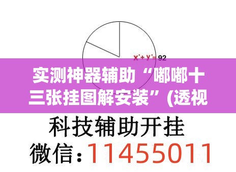 实测神器辅助“嘟嘟十三张挂图解安装”(透视挂)辅助下载教程