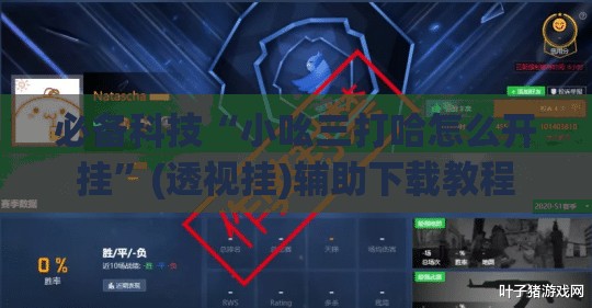 必备科技“小吆三打哈怎么开挂”(透视挂)辅助下载教程