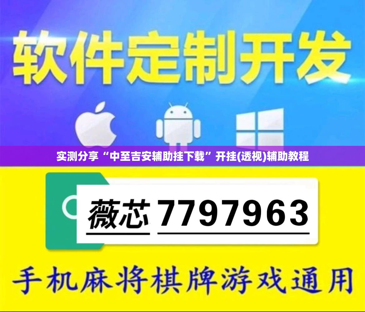 实测分享“中至吉安辅助挂下载”开挂(透视)辅助教程