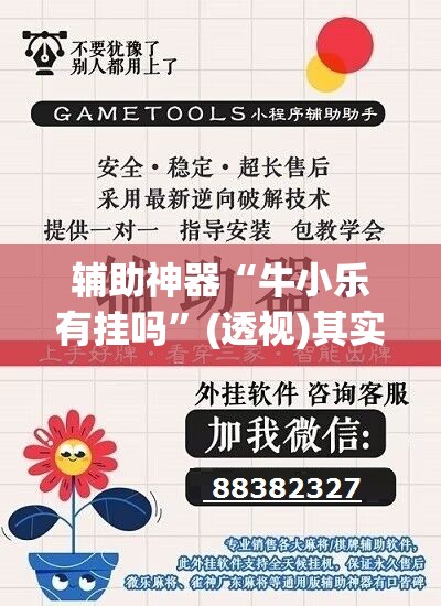 辅助神器“牛小乐有挂吗”(透视)其实确实有挂