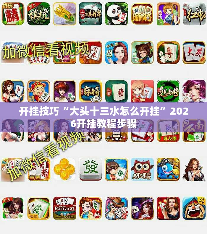 开挂技巧“大头十三水怎么开挂”2026开挂教程步骤