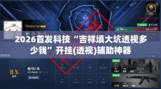 2026首发科技“吉祥填大坑透视多少钱”开挂(透视)辅助神器