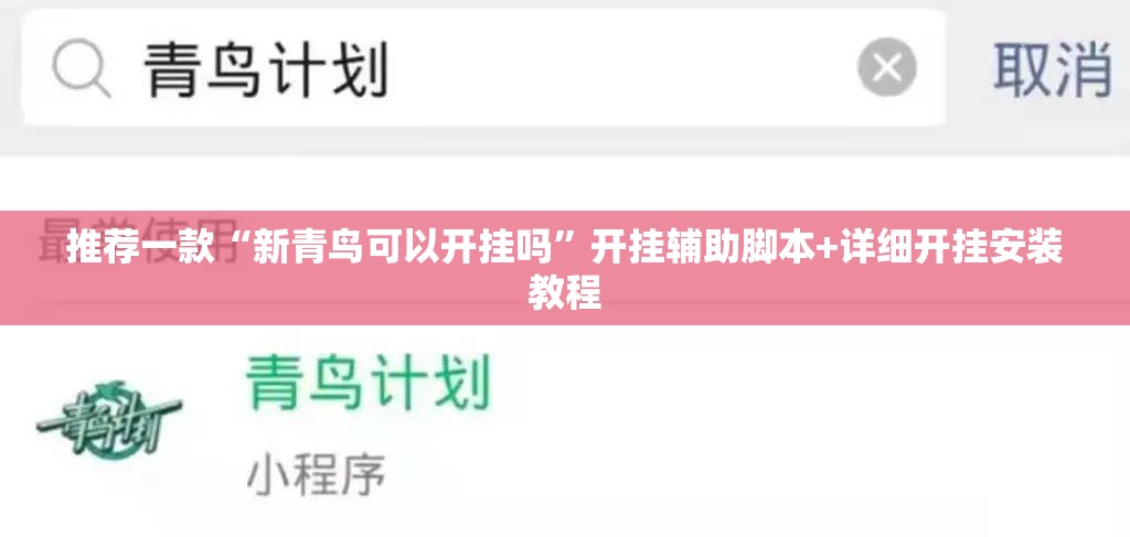 推荐一款“新青鸟可以开挂吗”开挂辅助脚本+详细开挂安装教程