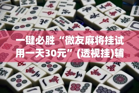 一键必胜“微友麻将挂试用一天30元	”(透视挂)辅助下载教程