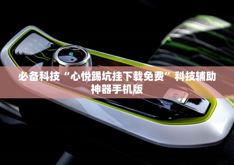 必备科技“心悦踢坑挂下载免费”科技辅助神器手机版