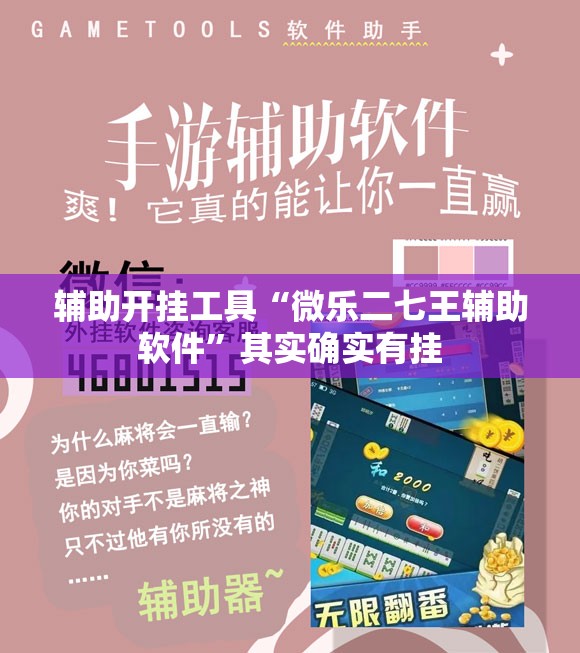 辅助开挂工具“微乐二七王辅助软件	”其实确实有挂