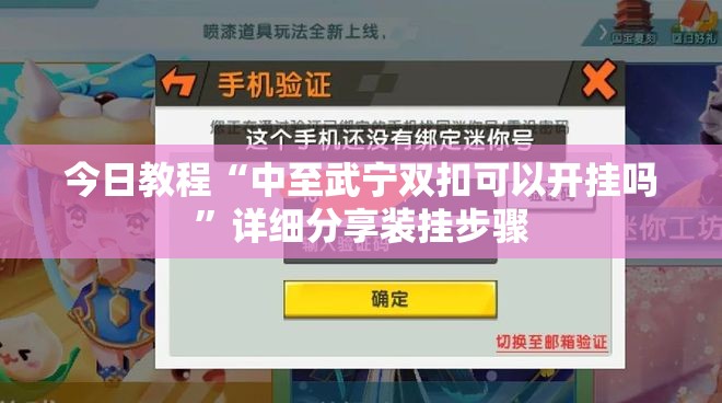 今日教程“中至武宁双扣可以开挂吗”详细分享装挂步骤
