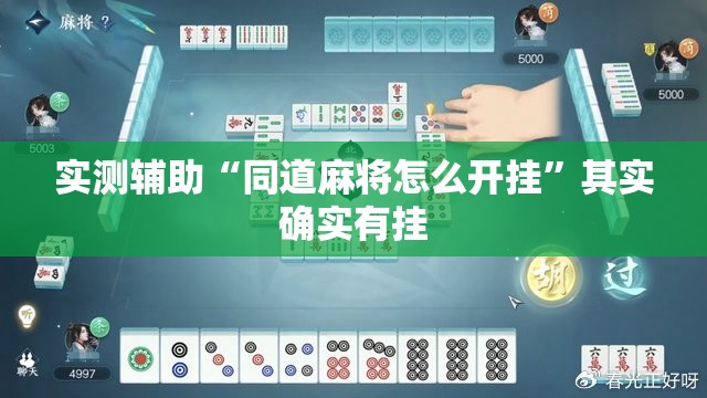 实测辅助“同道麻将怎么开挂”其实确实有挂
