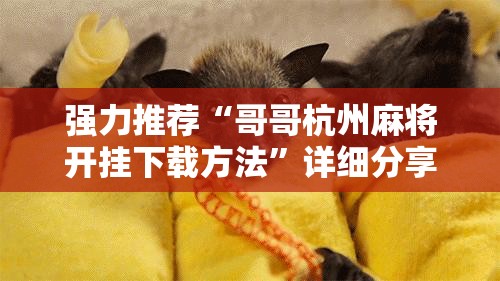 强力推荐“哥哥杭州麻将开挂下载方法”详细分享装挂步骤