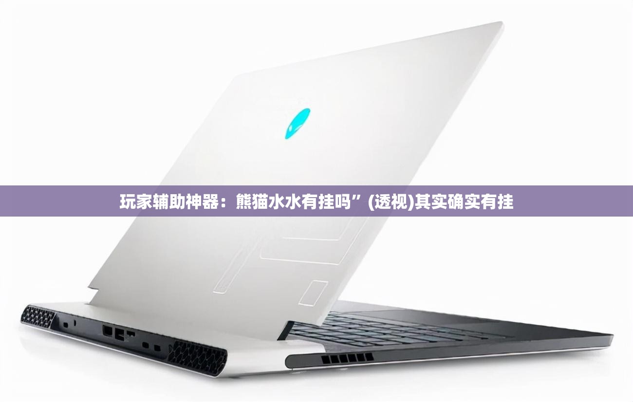 玩家辅助神器：熊猫水水有挂吗”(透视)其实确实有挂