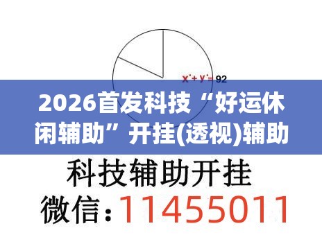 2026首发科技“好运休闲辅助”开挂(透视)辅助教程