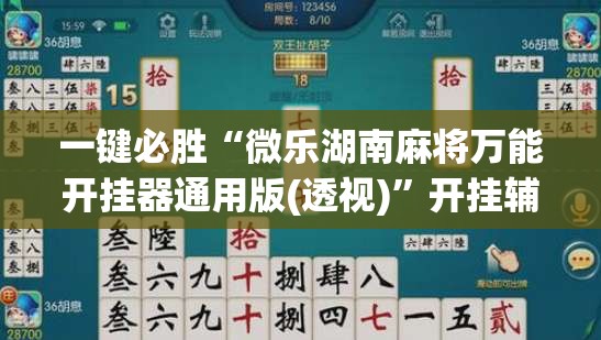 一键必胜“微乐湖南麻将万能开挂器通用版(透视)”开挂辅助脚本+详细开挂安装教程
