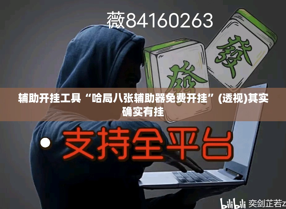 辅助开挂工具“哈局八张辅助器免费开挂”(透视)其实确实有挂