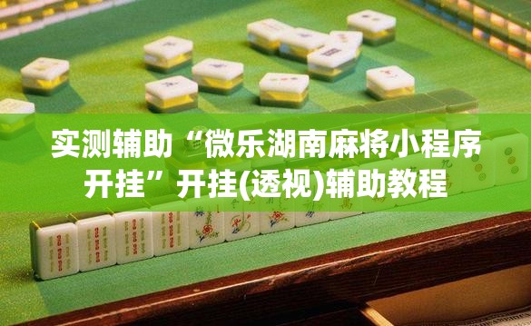 实测辅助“微乐湖南麻将小程序开挂”开挂(透视)辅助教程