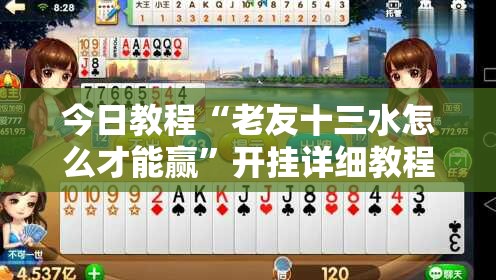 今日教程“老友十三水怎么才能赢	”开挂详细教程
