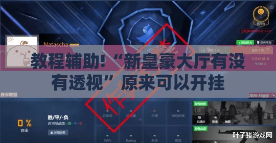 教程辅助!“新皇豪大厅有没有透视”原来可以开挂