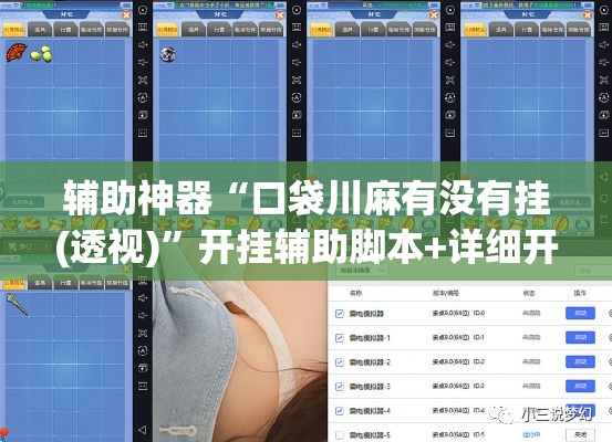 辅助神器“口袋川麻有没有挂(透视)”开挂辅助脚本+详细开挂安装教程