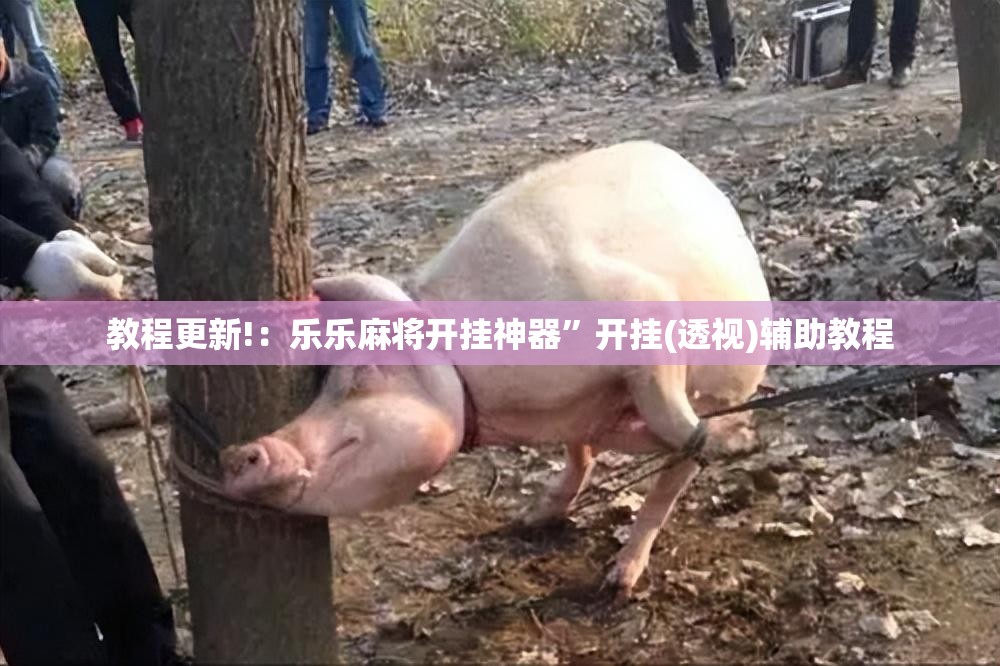 教程更新!：乐乐麻将开挂神器”开挂(透视)辅助教程