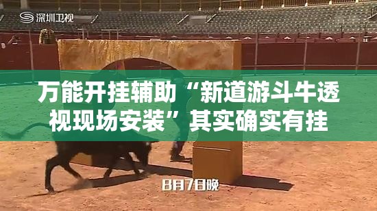 万能开挂辅助“新道游斗牛透视现场安装”其实确实有挂