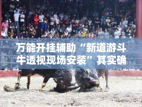 万能开挂辅助“新道游斗牛透视现场安装	”其实确实有挂