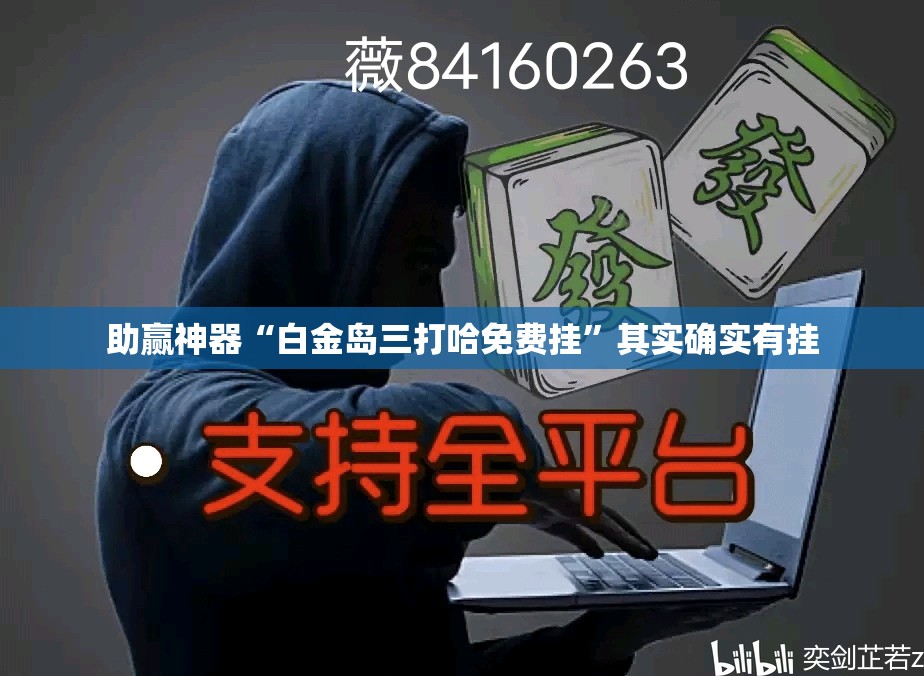 助赢神器“白金岛三打哈免费挂”其实确实有挂