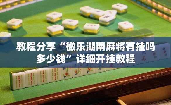 教程分享“微乐湖南麻将有挂吗多少钱	”详细开挂教程