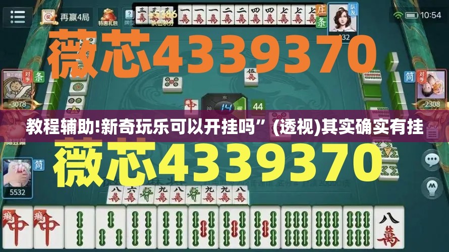教程辅助!新奇玩乐可以开挂吗”(透视)其实确实有挂