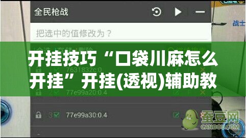 开挂技巧“口袋川麻怎么开挂”开挂(透视)辅助教程