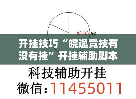 开挂技巧“皖逸竞技有没有挂	”开挂辅助脚本+详细开挂安装教程