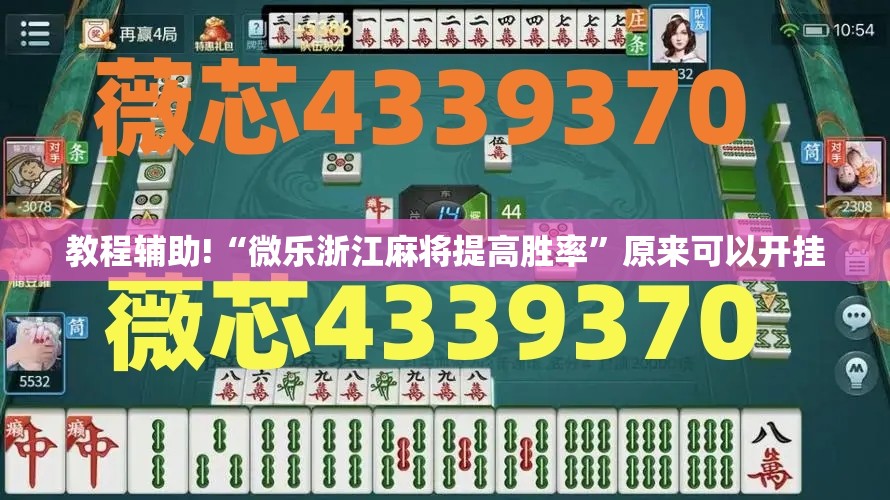 教程辅助!“微乐浙江麻将提高胜率”原来可以开挂