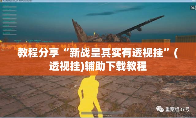 教程分享“新战皇其实有透视挂”(透视挂)辅助下载教程
