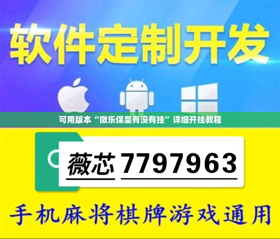 可用版本“微乐保皇有没有挂”详细开挂教程