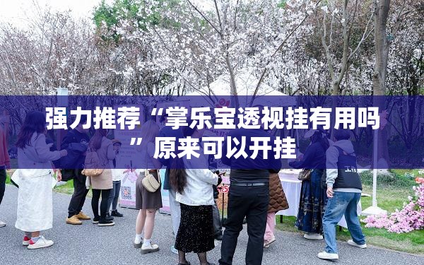 强力推荐“掌乐宝透视挂有用吗”原来可以开挂