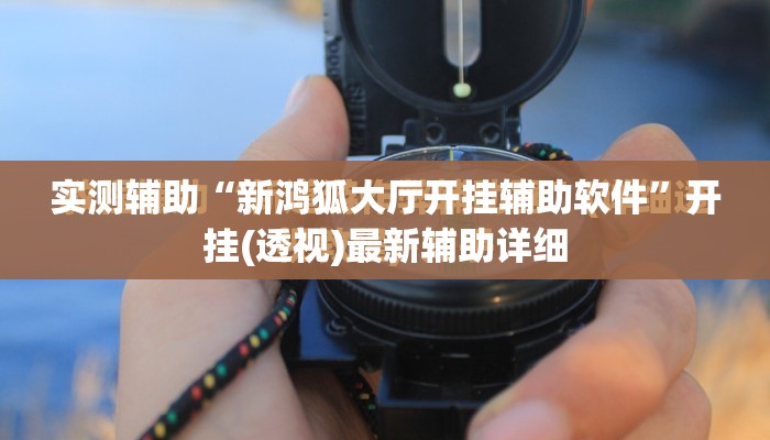 实测辅助“新鸿狐大厅开挂辅助软件”开挂(透视)最新辅助详细