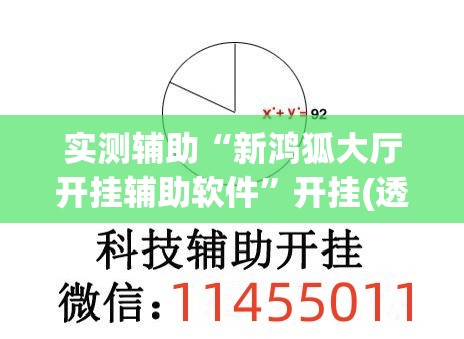 实测辅助“新鸿狐大厅开挂辅助软件”开挂(透视)最新辅助详细