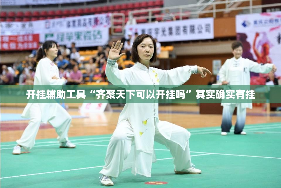 开挂辅助工具“齐聚天下可以开挂吗”其实确实有挂